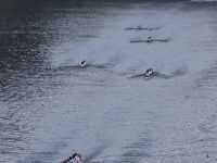 Langstrecken-Regatta Eglisau