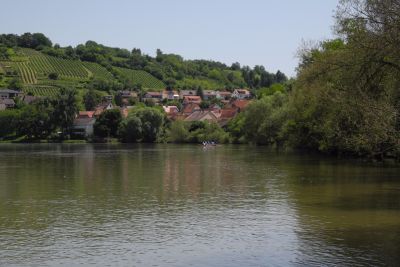 neckar 146