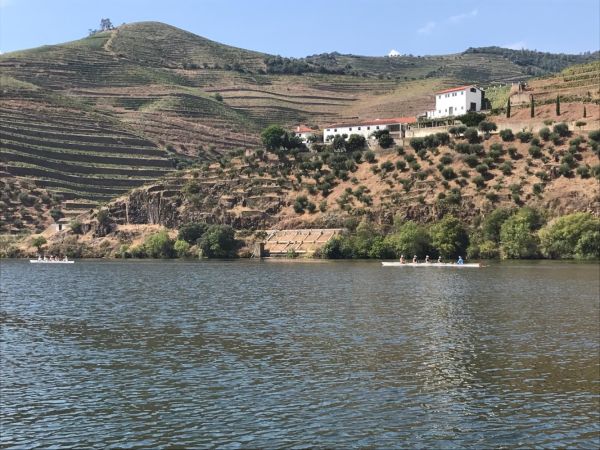 d09b4f57 8951 49af 8e3b fbb4f1b29a44