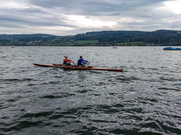 05.04. Mohre auf sturmischer See