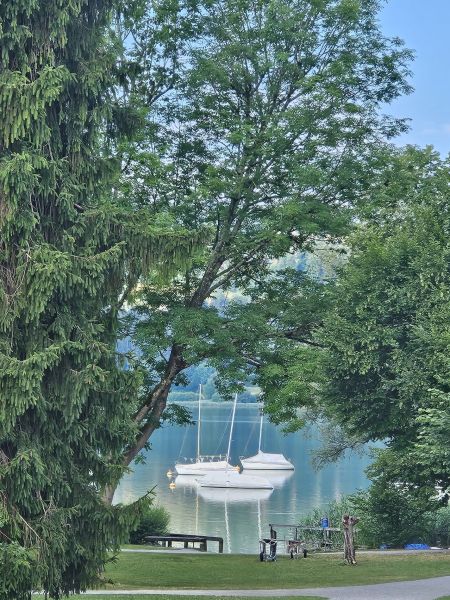 8d7a87f5 d4dd a819 b4d619f4ac30